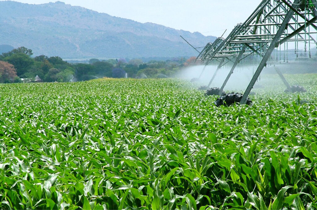 Heavy Machinery, Agriculture & Industrial Equipment